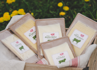 Paper-Based Packaging for Cheese Product - PackagingGURUji