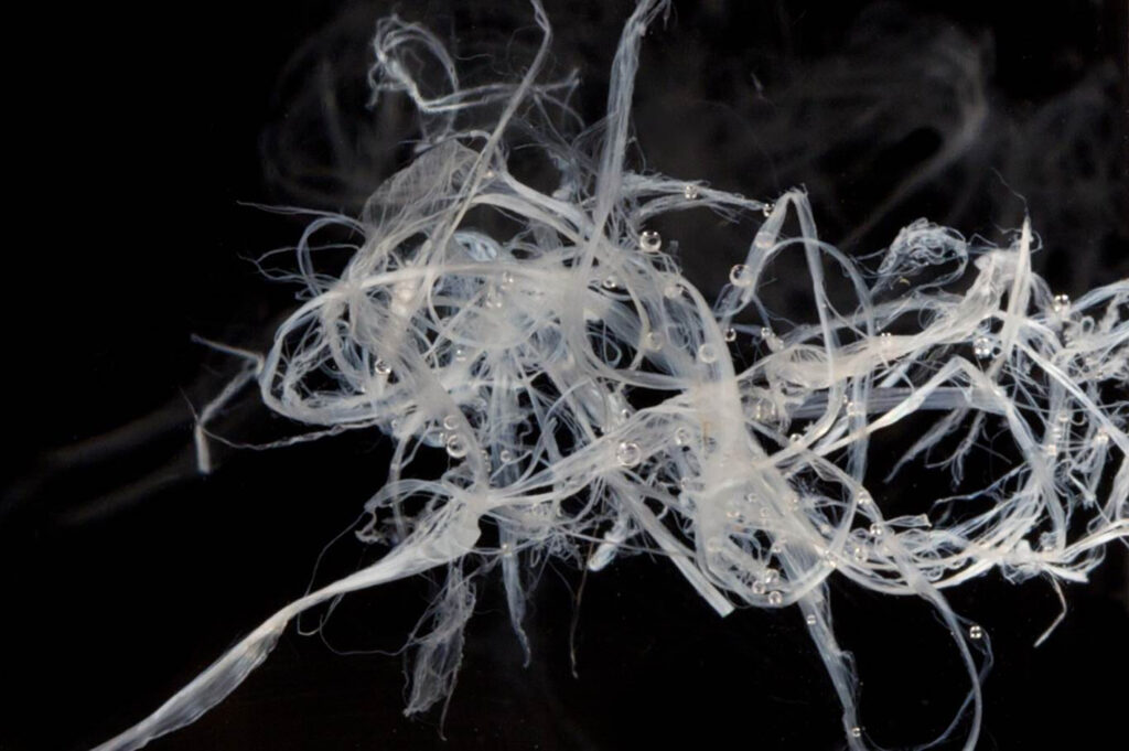 First-ever recyclable fiber-based microwavable cup - KraftMac