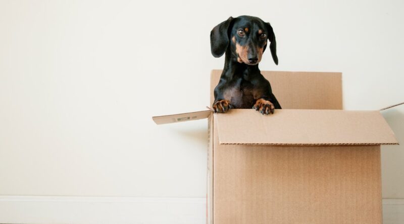 dimensions of a box,