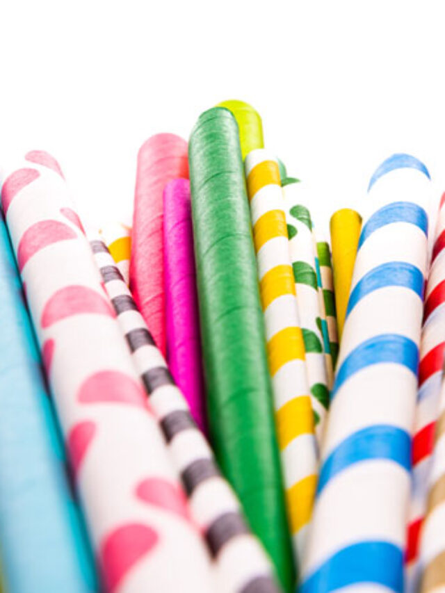 Top 6 companies in Paper Straw Business Worldwide PackagingGURUji