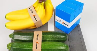 Advantage MF SpringPack paper, Fruits Paper Bundle